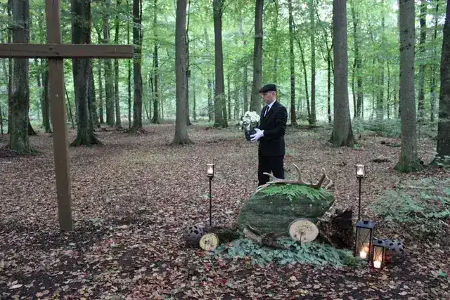 Baumbestattung im Wald