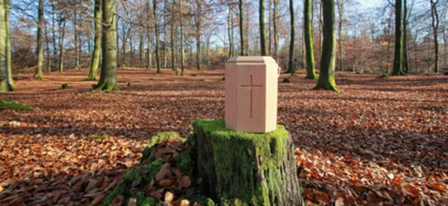 Waldbestattung